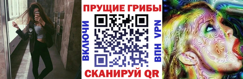 Купить закладки  Любим  Псилоцибиновые грибы Psilocybine cubensis 